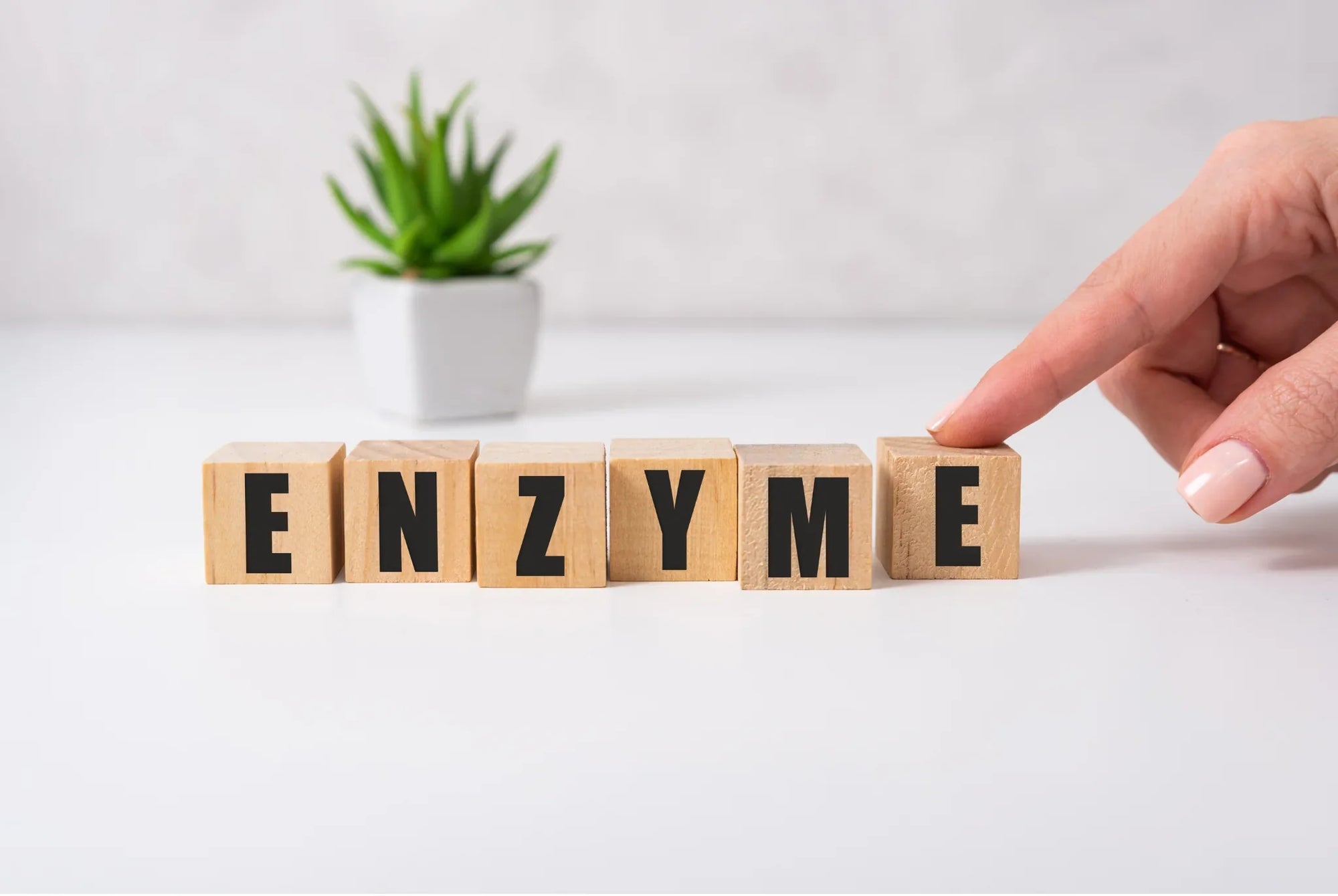 Szilárd Enzim Formula -  A mosólapok „titkos fegyvere”